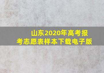 山东2020年高考报考志愿表样本下载电子版