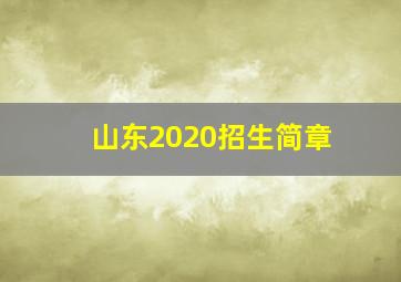 山东2020招生简章