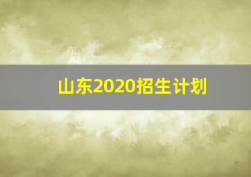 山东2020招生计划