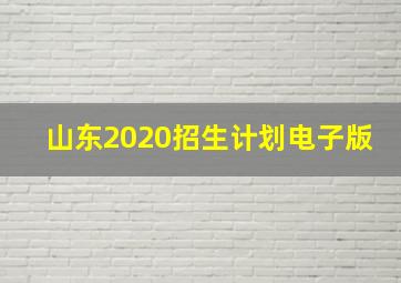 山东2020招生计划电子版