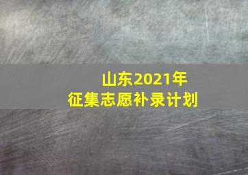 山东2021年征集志愿补录计划