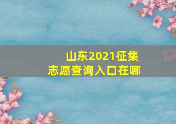 山东2021征集志愿查询入口在哪