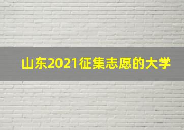 山东2021征集志愿的大学