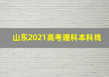 山东2021高考理科本科线