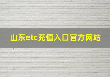 山东etc充值入口官方网站