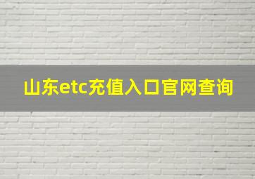 山东etc充值入口官网查询