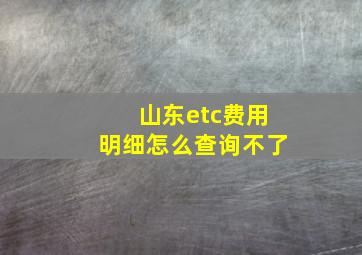 山东etc费用明细怎么查询不了