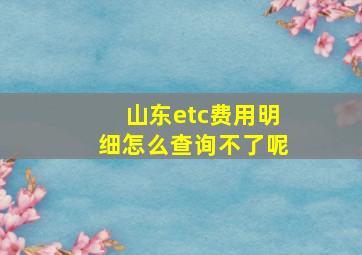 山东etc费用明细怎么查询不了呢