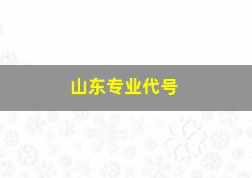 山东专业代号