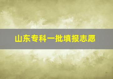 山东专科一批填报志愿