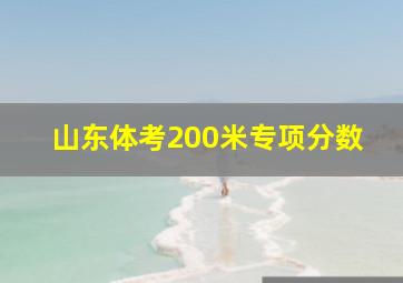 山东体考200米专项分数