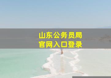 山东公务员局官网入口登录