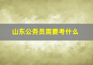 山东公务员需要考什么