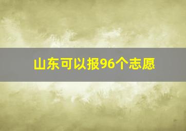 山东可以报96个志愿