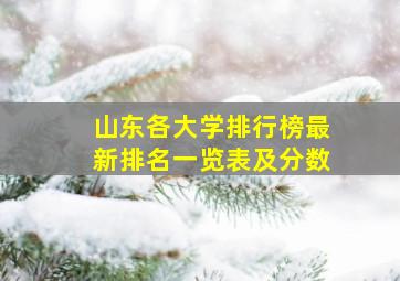 山东各大学排行榜最新排名一览表及分数