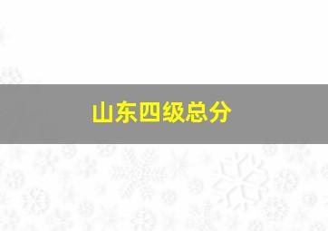 山东四级总分