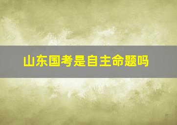 山东国考是自主命题吗