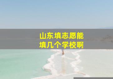 山东填志愿能填几个学校啊