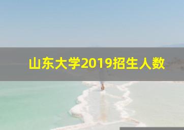 山东大学2019招生人数