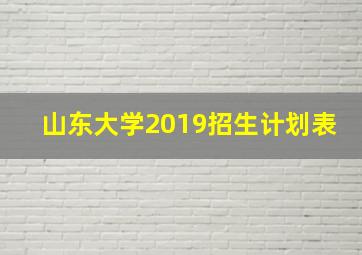 山东大学2019招生计划表