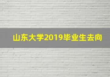 山东大学2019毕业生去向