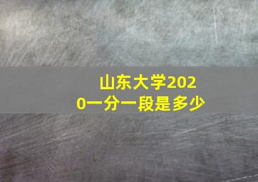 山东大学2020一分一段是多少