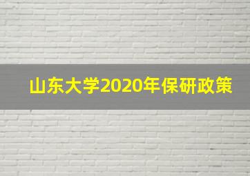 山东大学2020年保研政策