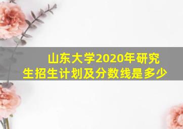 山东大学2020年研究生招生计划及分数线是多少