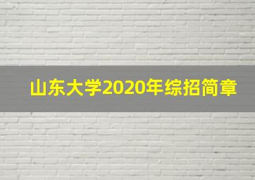 山东大学2020年综招简章