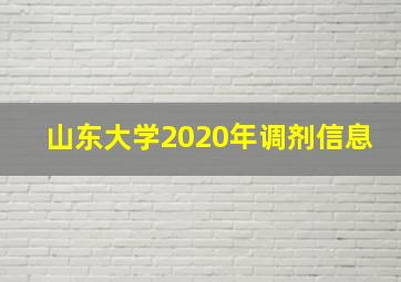 山东大学2020年调剂信息