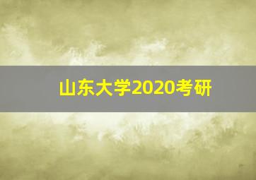 山东大学2020考研