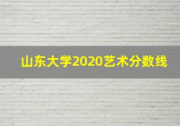 山东大学2020艺术分数线