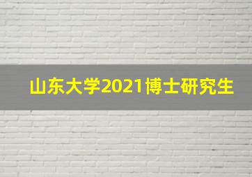 山东大学2021博士研究生