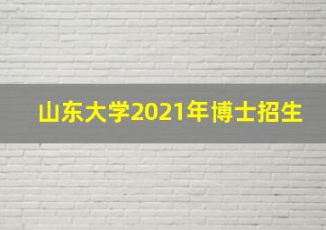 山东大学2021年博士招生