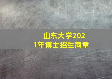 山东大学2021年博士招生简章