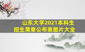 山东大学2021本科生招生简章公布表图片大全