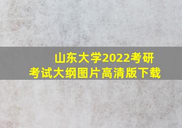 山东大学2022考研考试大纲图片高清版下载