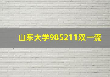 山东大学985211双一流