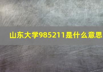 山东大学985211是什么意思