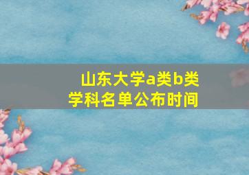 山东大学a类b类学科名单公布时间