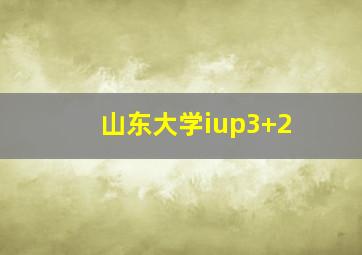 山东大学iup3+2