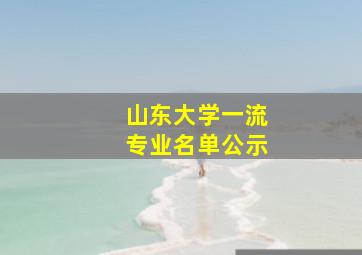 山东大学一流专业名单公示