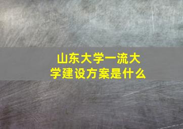 山东大学一流大学建设方案是什么