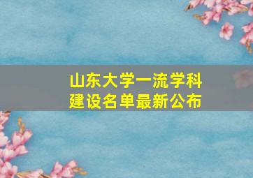 山东大学一流学科建设名单最新公布