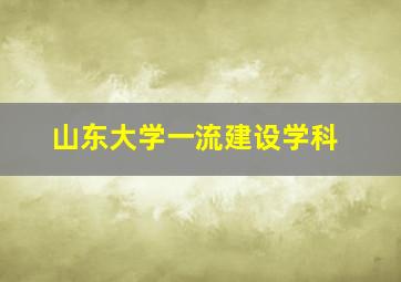 山东大学一流建设学科