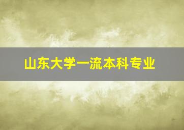 山东大学一流本科专业