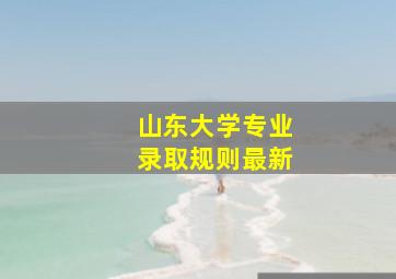 山东大学专业录取规则最新