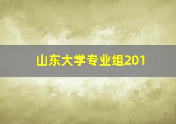 山东大学专业组201