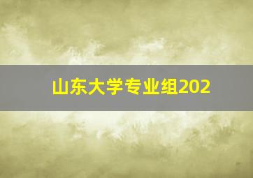 山东大学专业组202