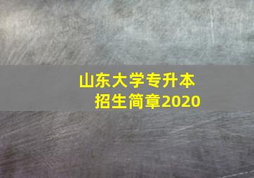 山东大学专升本招生简章2020